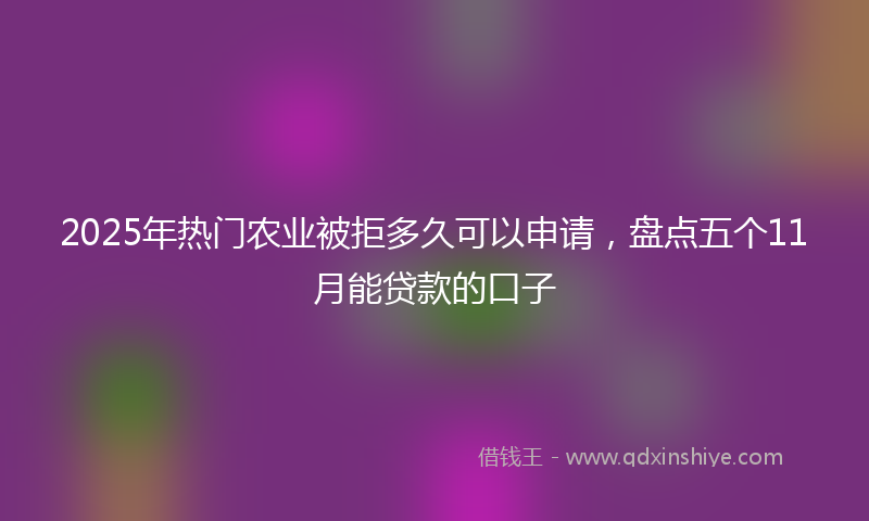 2025年热门农业被拒多久可以申请，盘点五个11月能贷款的口子