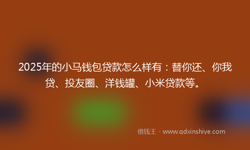 2025年的小马钱包贷款怎么样有：替你还、你我贷、投友圈、洋钱罐、小米贷款等。