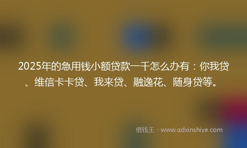 2025年的急用钱小额贷款一千怎么办有：你我贷、维信卡卡贷、我来贷、融逸花、随身贷等。