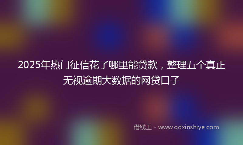 2025年热门征信花了哪里能贷款，整理五个真正无视逾期大数据的网贷口子