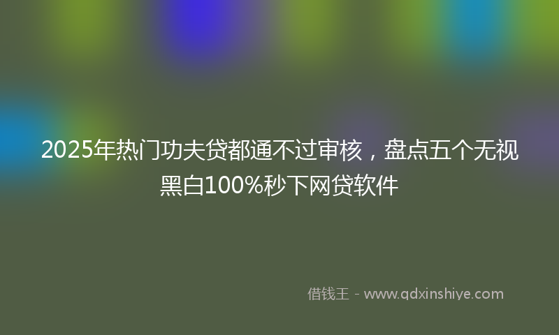 2025年热门功夫贷都通不过审核，盘点五个无视黑白100%秒下网贷软件