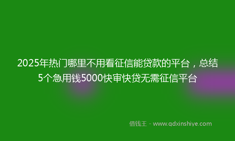2025年热门哪里不用看征信能贷款的平台，总结5个急用钱5000快审快贷无需征信平台