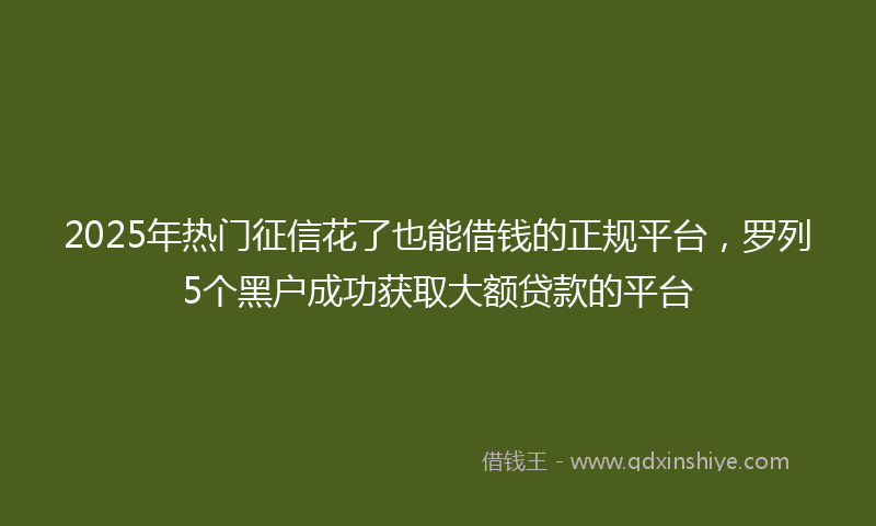 2025年热门征信花了也能借钱的正规平台，罗列5个黑户成功获取大额贷款的平台