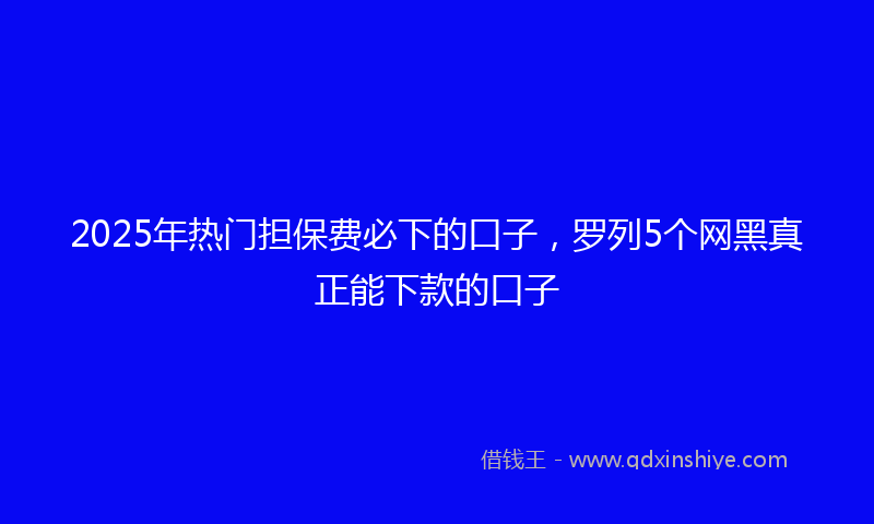 2025年热门担保费必下的口子，罗列5个网黑真正能下款的口子