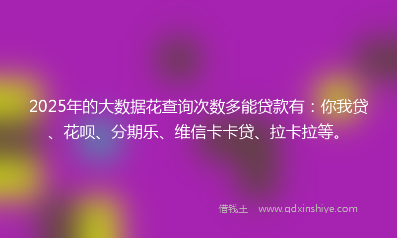 2025年的大数据花查询次数多能贷款有：你我贷、花呗、分期乐、维信卡卡贷、拉卡拉等。