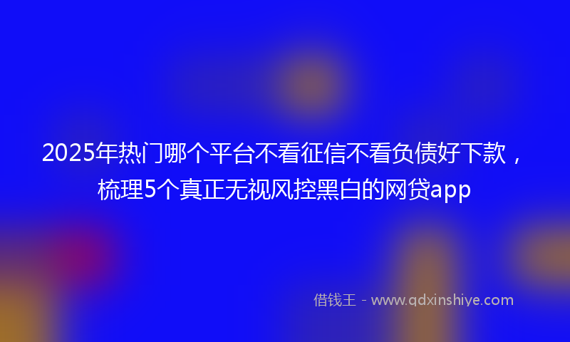 2025年热门哪个平台不看征信不看负债好下款，梳理5个真正无视风控黑白的网贷app