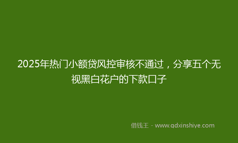 2025年热门小额贷风控审核不通过，分享五个无视黑白花户的下款口子