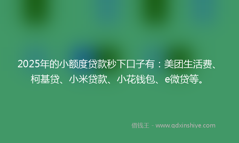 2025年的小额度贷款秒下口子有：美团生活费、柯基贷、小米贷款、小花钱包、e微贷等。