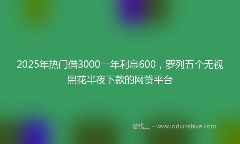 2025年热门借3000一年利息600，罗列五个无视黑花半夜下款的网贷平台