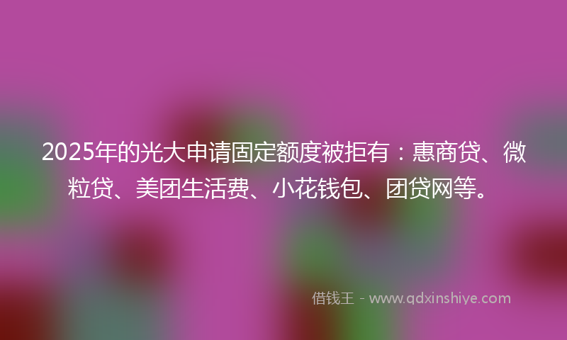 2025年的光大申请固定额度被拒有：惠商贷、微粒贷、美团生活费、小花钱包、团贷网等。