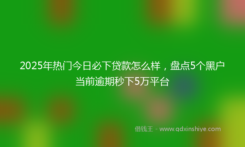 2025年热门今日必下贷款怎么样，盘点5个黑户当前逾期秒下5万平台