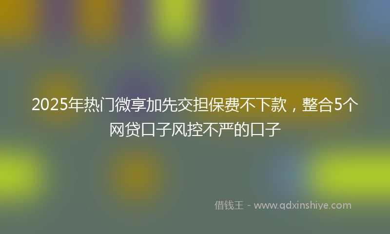 2025年热门微享加先交担保费不下款，整合5个网贷口子风控不严的口子