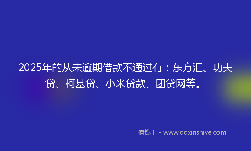 2025年的从未逾期借款不通过有：东方汇、功夫贷、柯基贷、小米贷款、团贷网等。