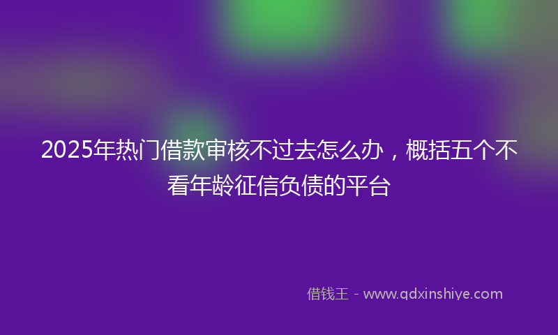 2025年热门借款审核不过去怎么办，概括五个不看年龄征信负债的平台