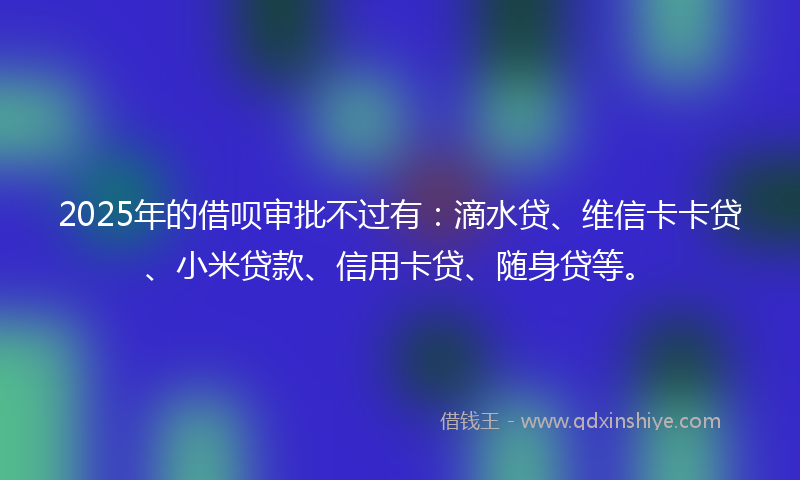 2025年的借呗审批不过有：滴水贷、维信卡卡贷、小米贷款、信用卡贷、随身贷等。