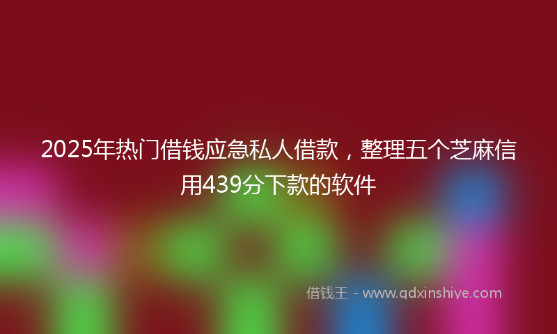 2025年热门借钱应急私人借款，整理五个芝麻信用439分下款的软件