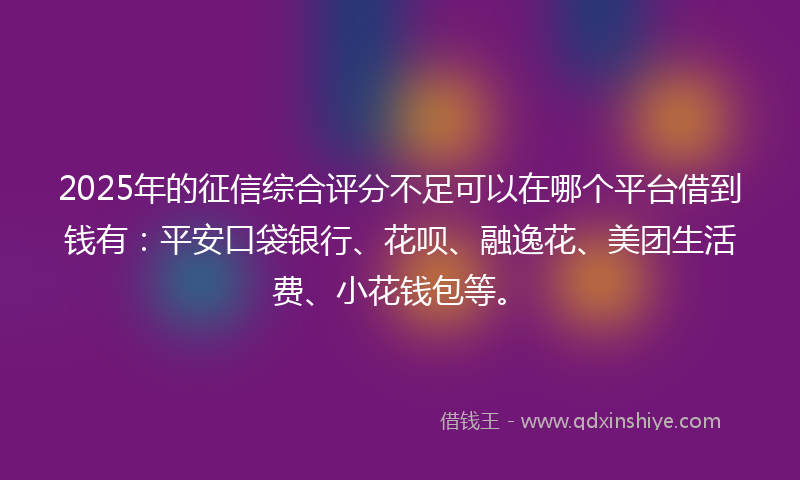 2025年的征信综合评分不足可以在哪个平台借到钱有：平安口袋银行、花呗、融逸花、美团生活费、小花钱包等。