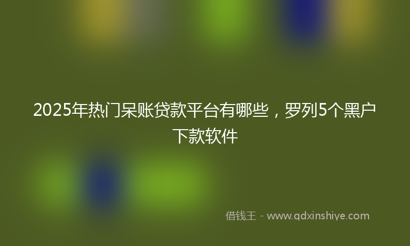 2025年热门呆账贷款平台有哪些，罗列5个黑户下款软件