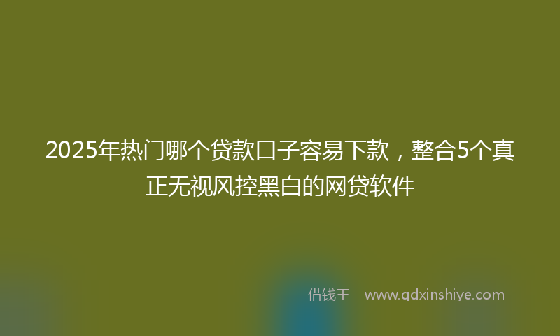 2025年热门哪个贷款口子容易下款，整合5个真正无视风控黑白的网贷软件