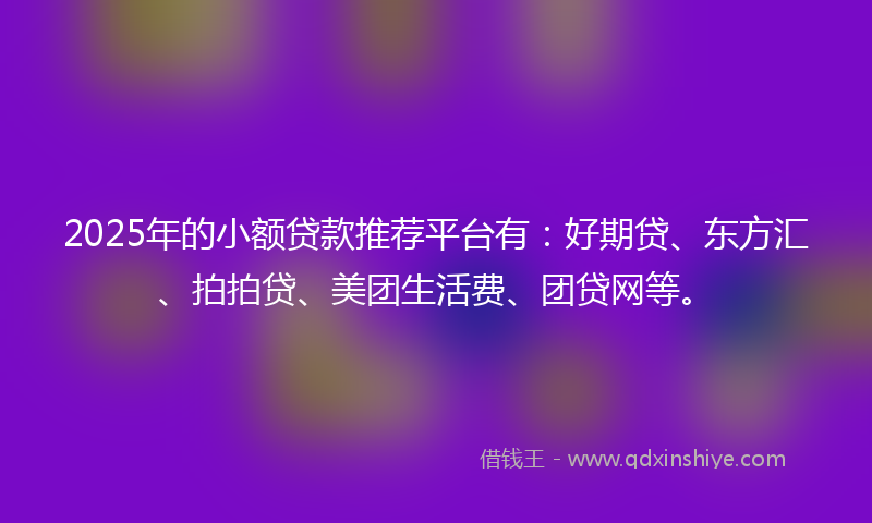 2025年的小额贷款推荐平台有：好期贷、东方汇、拍拍贷、美团生活费、团贷网等。