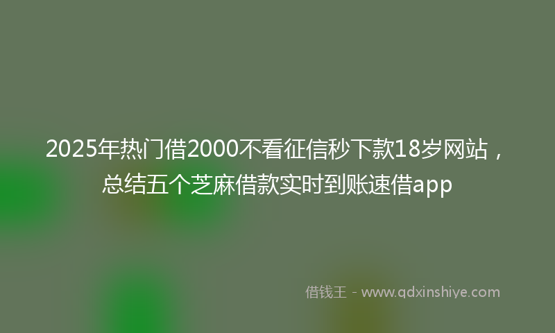 2025年热门借2000不看征信秒下款18岁网站，总结五个芝麻借款实时到账速借app
