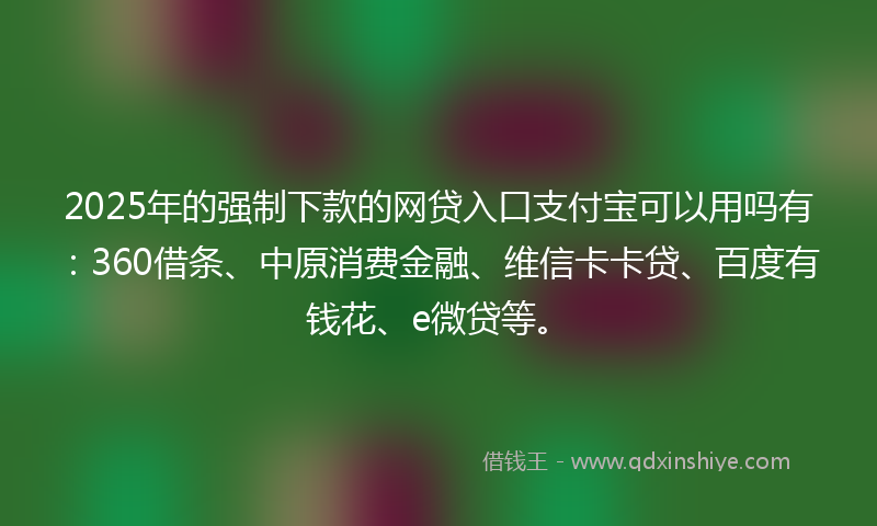 2025年的强制下款的网贷入口支付宝可以用吗有：360借条、中原消费金融、维信卡卡贷、百度有钱花、e微贷等。