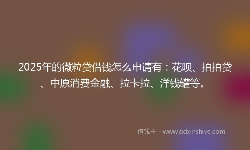 2025年的微粒贷借钱怎么申请有：花呗、拍拍贷、中原消费金融、拉卡拉、洋钱罐等。