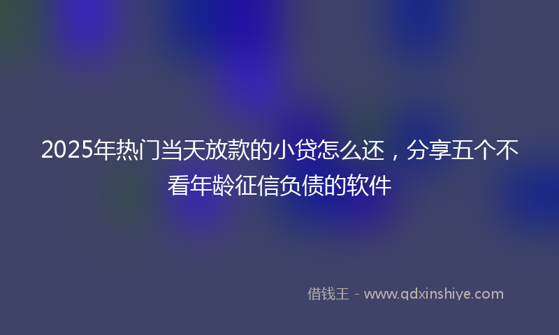 2025年热门当天放款的小贷怎么还，分享五个不看年龄征信负债的软件