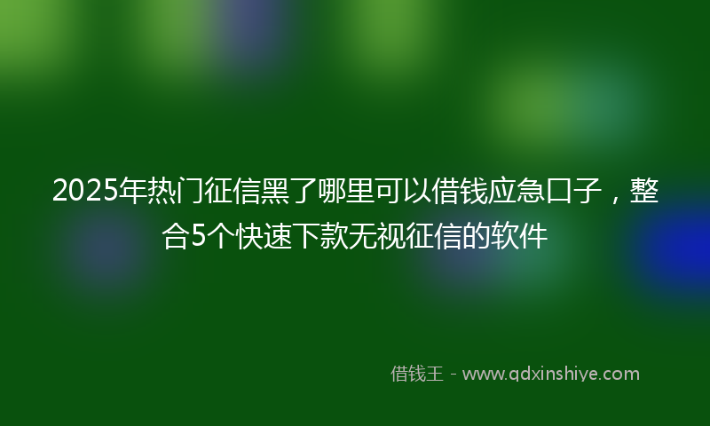 2025年热门征信黑了哪里可以借钱应急口子，整合5个快速下款无视征信的软件