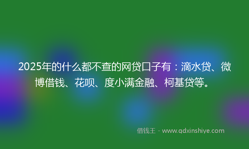 2025年的什么都不查的网贷口子有：滴水贷、微博借钱、花呗、度小满金融、柯基贷等。