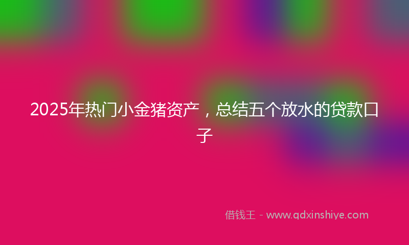 2025年热门小金猪资产，总结五个放水的贷款口子