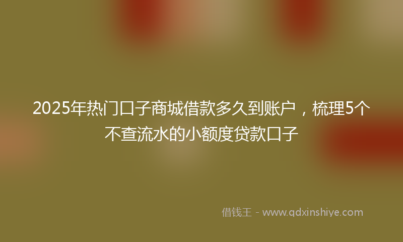 2025年热门口子商城借款多久到账户，梳理5个不查流水的小额度贷款口子