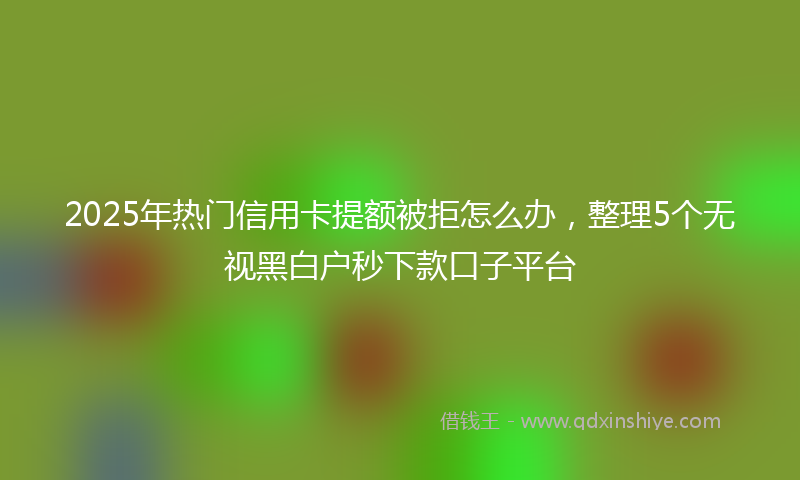 2025年热门信用卡提额被拒怎么办，整理5个无视黑白户秒下款口子平台
