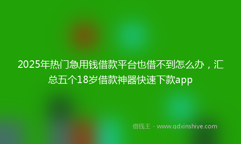 2025年热门急用钱借款平台也借不到怎么办，汇总五个18岁借款神器快速下款app
