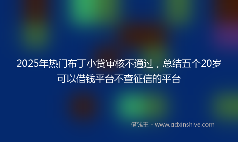2025年热门布丁小贷审核不通过，总结五个20岁可以借钱平台不查征信的平台