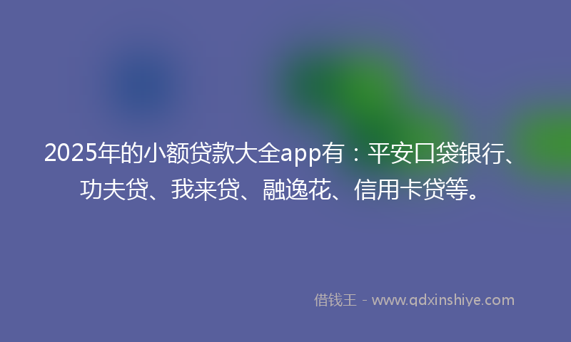 2025年的小额贷款大全app有：平安口袋银行、功夫贷、我来贷、融逸花、信用卡贷等。