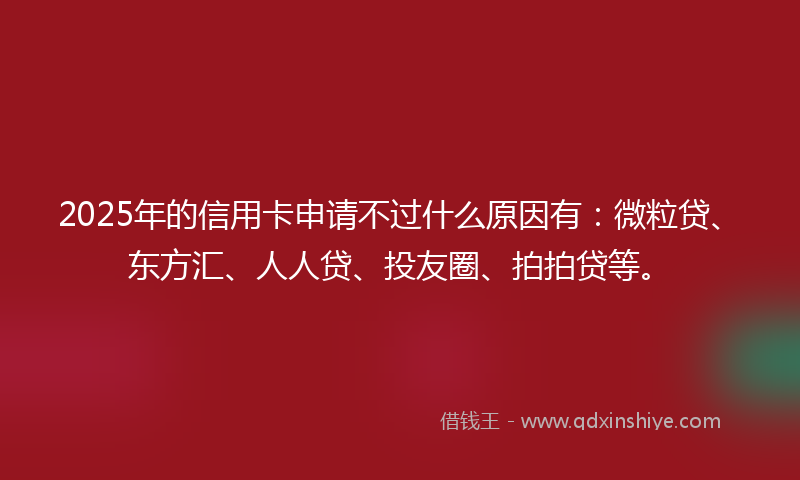 2025年的信用卡申请不过什么原因有：微粒贷、东方汇、人人贷、投友圈、拍拍贷等。