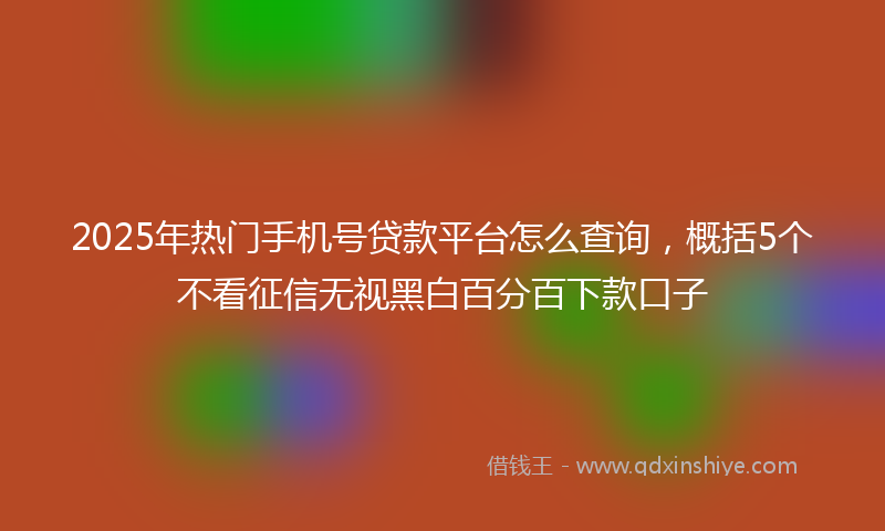 2025年热门手机号贷款平台怎么查询，概括5个不看征信无视黑白百分百下款口子