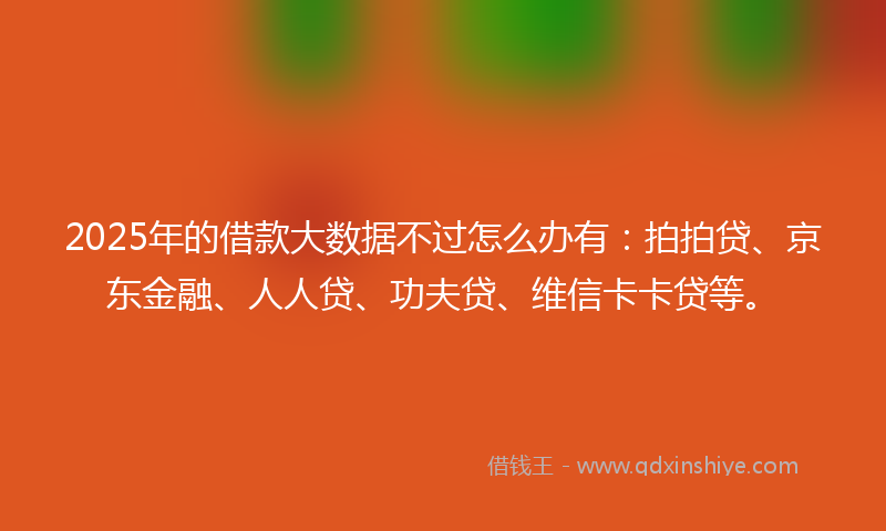 2025年的借款大数据不过怎么办有：拍拍贷、京东金融、人人贷、功夫贷、维信卡卡贷等。