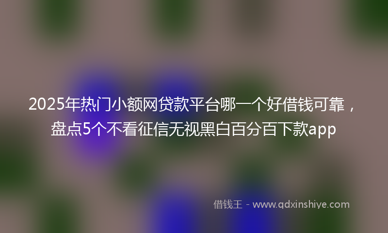 2025年热门小额网贷款平台哪一个好借钱可靠，盘点5个不看征信无视黑白百分百下款app
