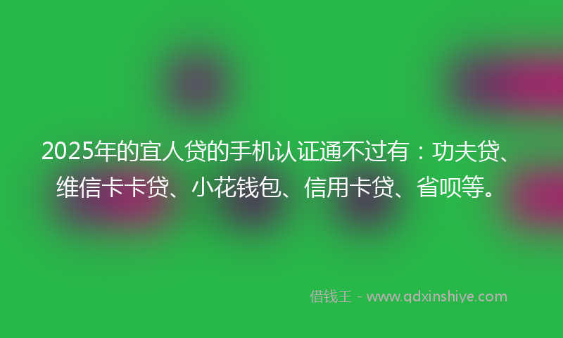 2025年的宜人贷的手机认证通不过有：功夫贷、维信卡卡贷、小花钱包、信用卡贷、省呗等。