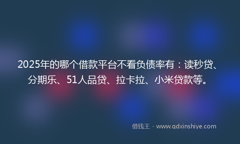 2025年的哪个借款平台不看负债率有：读秒贷、分期乐、51人品贷、拉卡拉、小米贷款等。