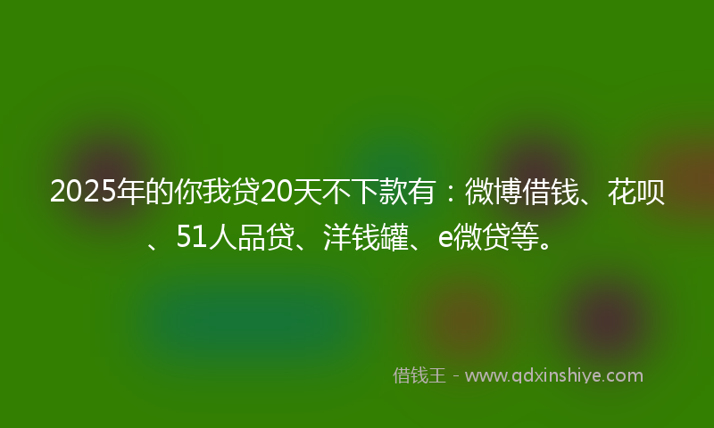 2025年的你我贷20天不下款有：微博借钱、花呗、51人品贷、洋钱罐、e微贷等。