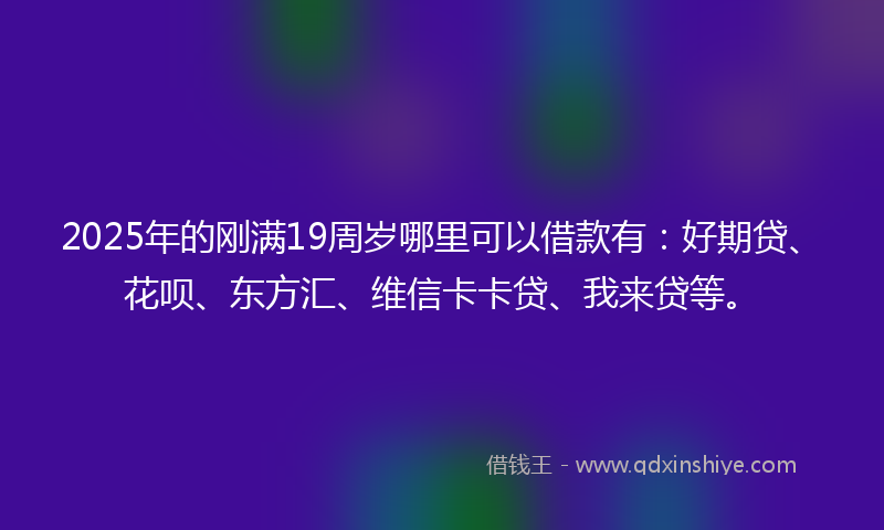 2025年的刚满19周岁哪里可以借款有：好期贷、花呗、东方汇、维信卡卡贷、我来贷等。