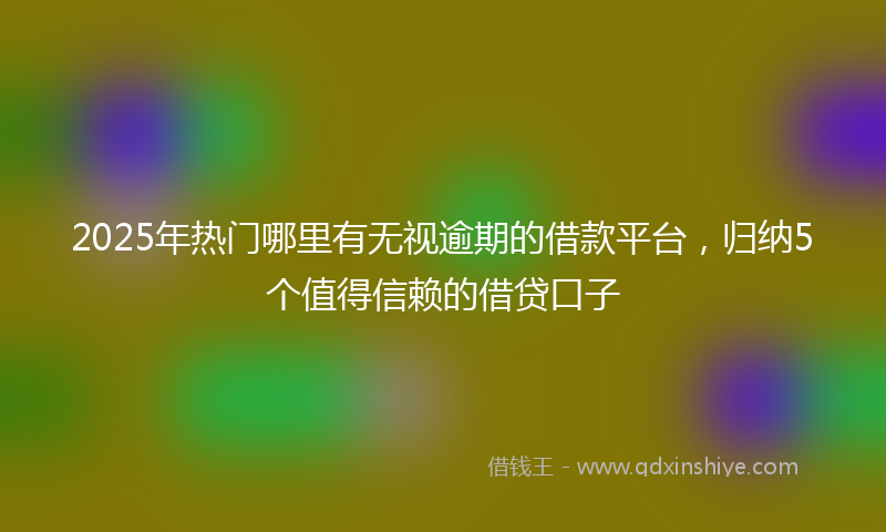 2025年热门哪里有无视逾期的借款平台，归纳5个值得信赖的借贷口子