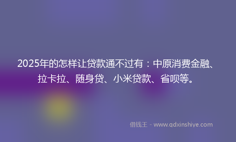 2025年的怎样让贷款通不过有：中原消费金融、拉卡拉、随身贷、小米贷款、省呗等。