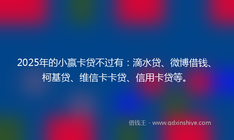 2025年的小赢卡贷不过有：滴水贷、微博借钱、柯基贷、维信卡卡贷、信用卡贷等。