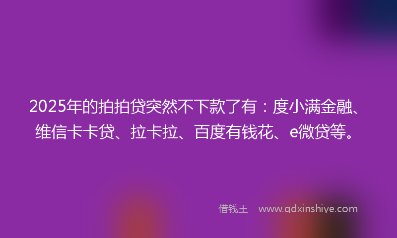 2025年的拍拍贷突然不下款了有：度小满金融、维信卡卡贷、拉卡拉、百度有钱花、e微贷等。