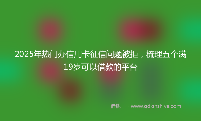 2025年热门办信用卡征信问题被拒，梳理五个满19岁可以借款的平台