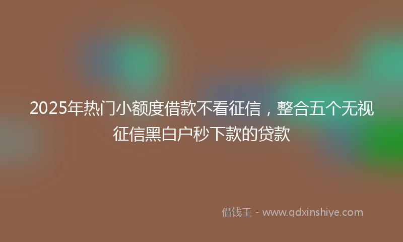 2025年热门小额度借款不看征信，整合五个无视征信黑白户秒下款的贷款